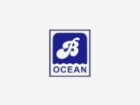 Bright Ocean Maritime